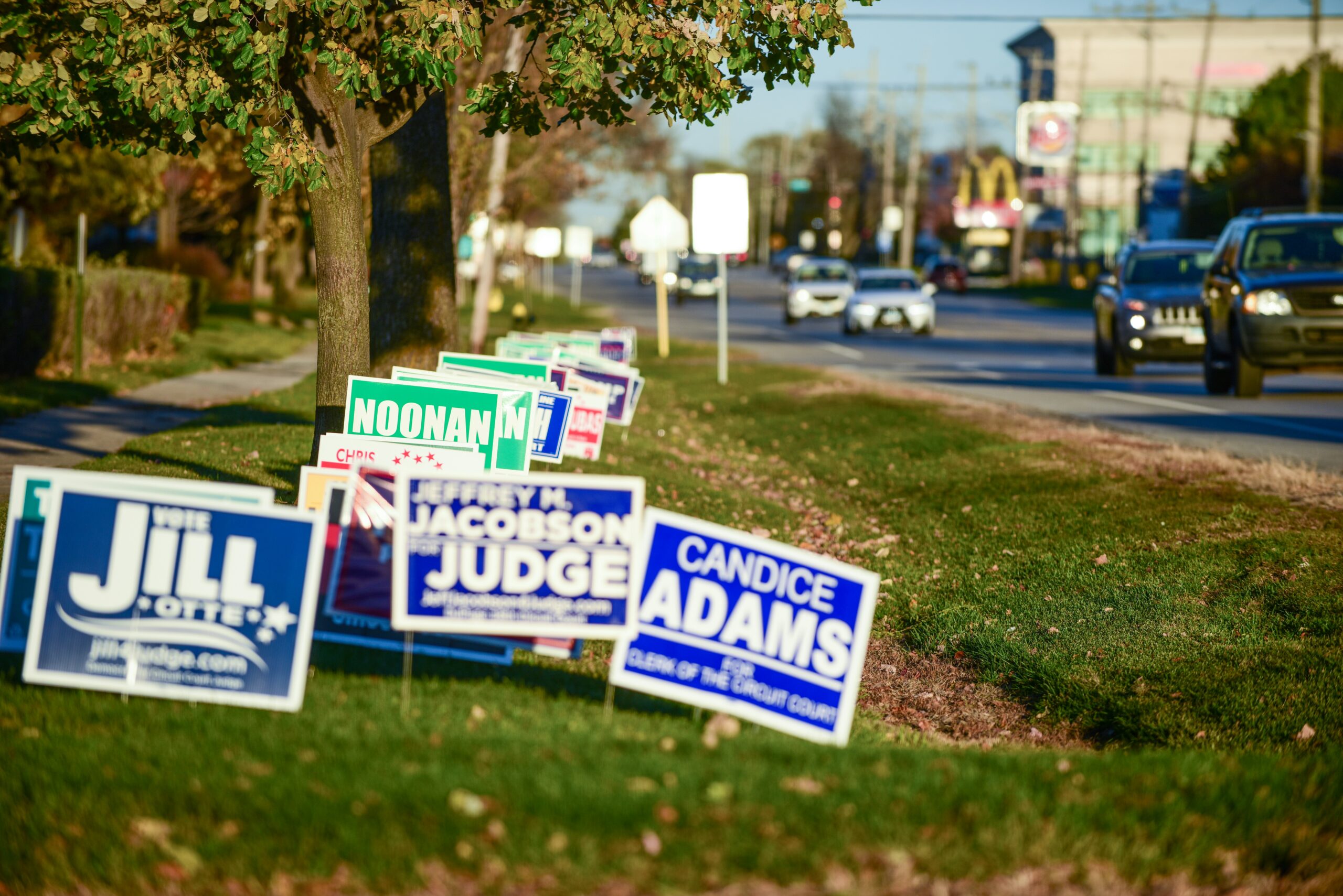 Campaign yard signs along a roadside