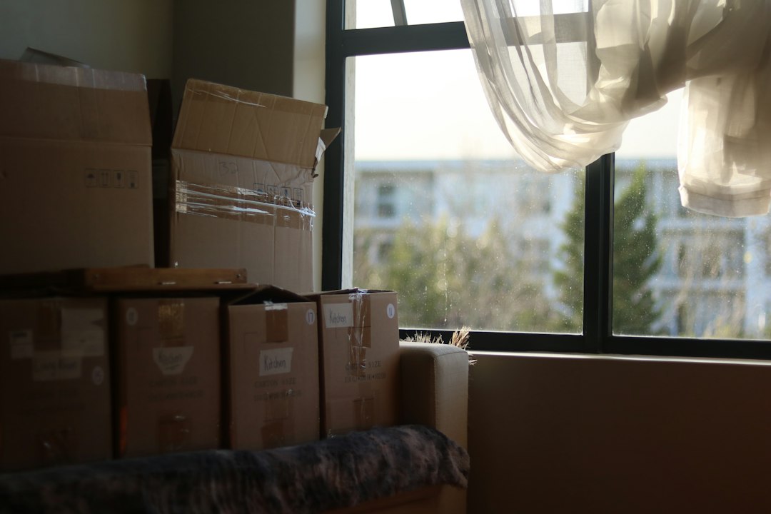 Moving boxes in a new home, a reminder to update your Nevada voter registration address